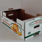 Χαρτοτελάρο για συσκευασία φρούτων 50 x 30 x 17,5 5φυλλο